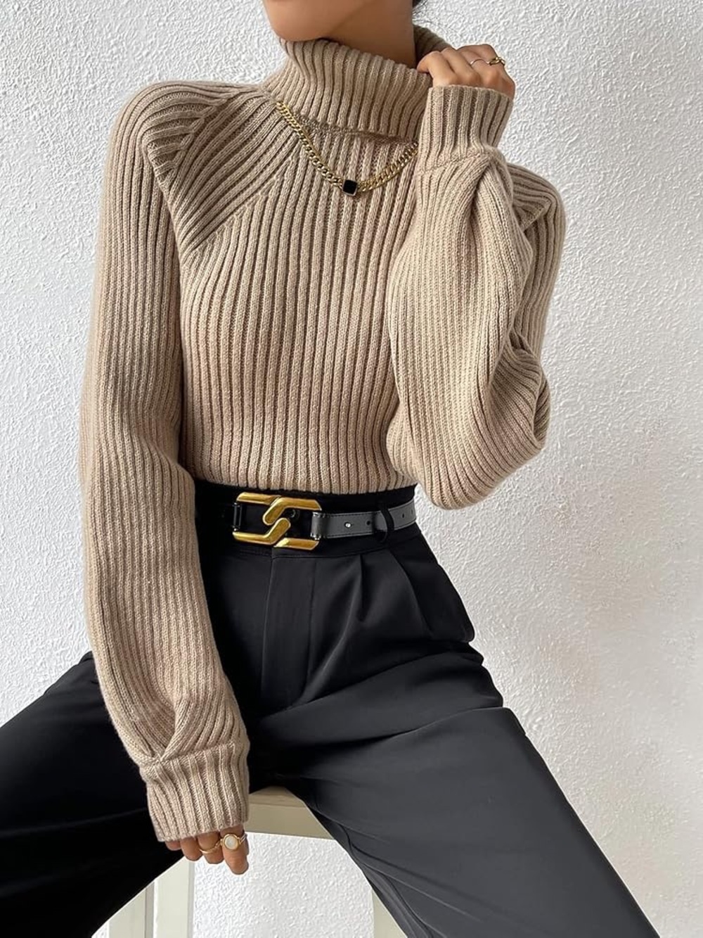 Turtleneck Raglan Sleeve Ribbed Knit Sweater - Picture 6 of 7